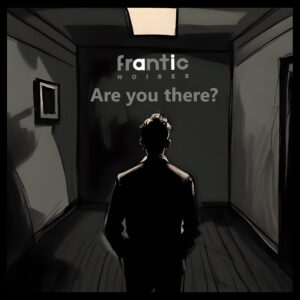 Frantic noises - Are you there? - cover